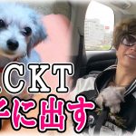 【芸能】GACKTが「YouTube」のコメント欄を閉鎖…　知人に愛犬をあげた動画が炎上し、批判コメント止まらず [jinjin★]