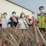 【台湾】蔡英文中華民国総統「台湾のパイナップルはまもなく本格的な収穫期を迎えます。日本の皆さん、どうぞ宜しくお願いします！」