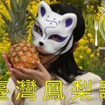 【日台友好】日本人がつくった「台湾パイナップルのうた」に台湾人感動！＝「超かわいい！」「日本最高！」