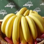 【今後の輸出に影響なし】台湾バナナ、農薬が基準値越えで回収廃棄へ