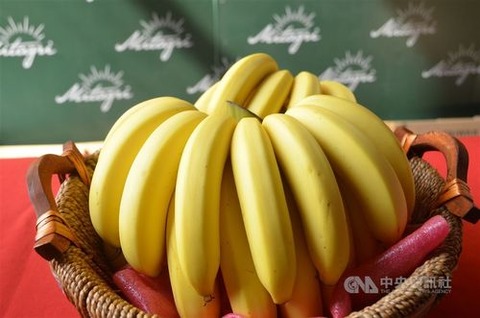 【今後の輸出に影響なし】台湾バナナ、農薬が基準値越えで回収廃棄へ