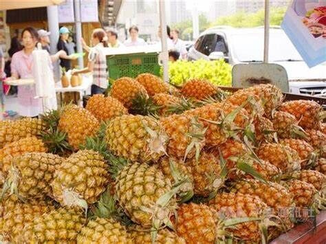 【台湾】パイナップル品種、中国に流出 法改正で対応へ　「日本に追随し、法改正を検討する方針」