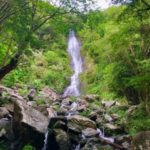 【朗報】沖縄・奄美大島、世界自然遺産になる模様