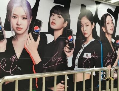 【K-◯◯】 桜は排除、BLACKPINKは韓国の手柄…？韓国人の「度を越えた愛国主義」に専門家が警鐘
