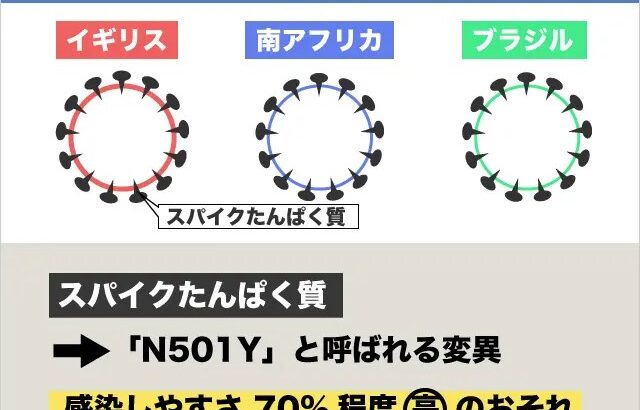 【新型コロナ】東京都内感染者の6割が「N501Y」感染と判明…