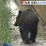 札幌・クマ駆除で「かわいそう」との指摘に”ある声”が続出