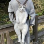 【悲報】日本人さん、期待して「猫リュック」を買うもとんでもない代物が届いてしまう