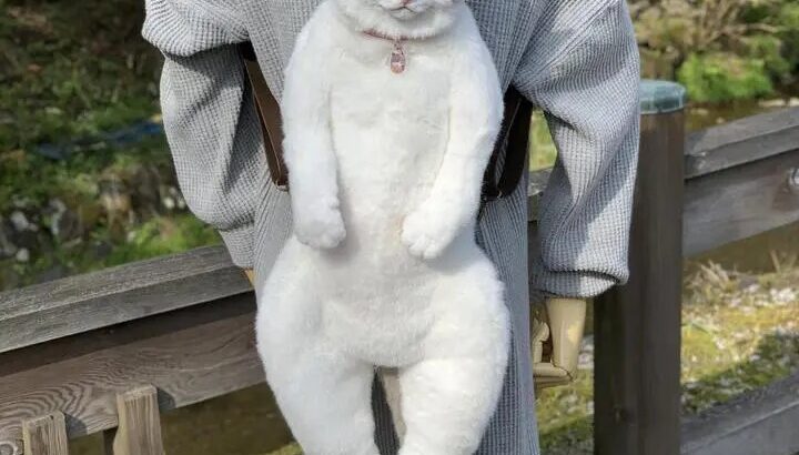 【悲報】日本人さん、期待して「猫リュック」を買うもとんでもない代物が届いてしまう