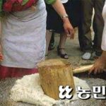 【韓国】『餅（トク）作り』、国家無形文化財の指定を予告