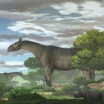 【古生物学】古代の巨大サイ「パラケラテリウム」、新種の化石発見　陸生哺乳類で最大
