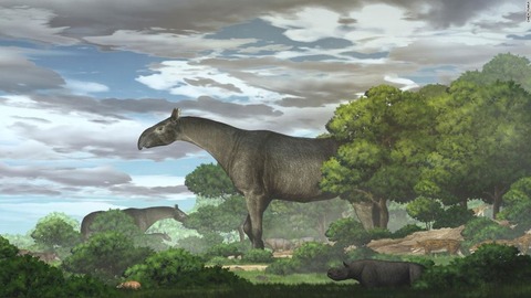 【古生物学】古代の巨大サイ「パラケラテリウム」、新種の化石発見　陸生哺乳類で最大