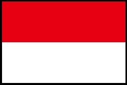 【インドネシア議会】首都移転法案を可決　新首都は「ヌサンタラ」
