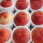 【東京五輪】福島県産桃がドミニカ共和国の選手に大好評「こんなにおいしいものは食べたことがない」