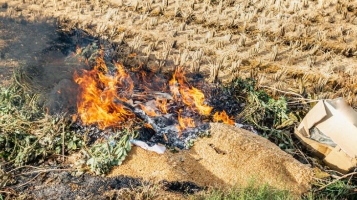 ｢野焼き｣で高齢女性死亡か　鹿児島