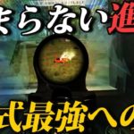 【荒野行動】俺の95式が日々進化している。最強になる日も近い。異論は認める。