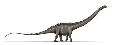 【古生物学】スーパーサウルスは史上最長、バス3台分の長さだった…最新の分析で判明