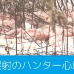 【北海道】かわいがっていたポニー…クマと間違えてハンターが撃ち安楽死措置