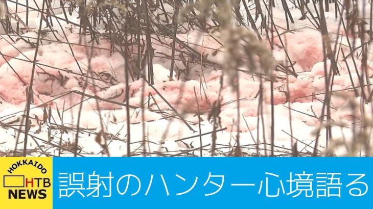 【北海道】かわいがっていたポニー…クマと間違えてハンターが撃ち安楽死措置