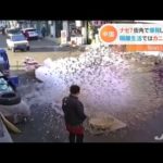 【中国】”ポップコーン”が大爆発　＆　”上海ガニ”が大活躍