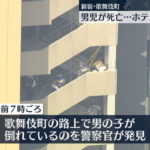 【謎】歌舞伎町のホテルで転落事故、小学生死亡 ・・・まさかの母親突き落とし？
