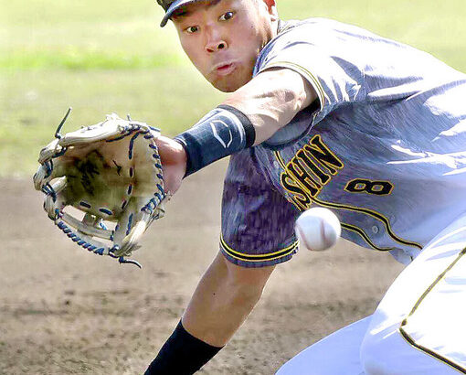 阪神　佐藤輝明、ビッググラブで三塁取る「めちゃくちゃでかく作ってもらった」