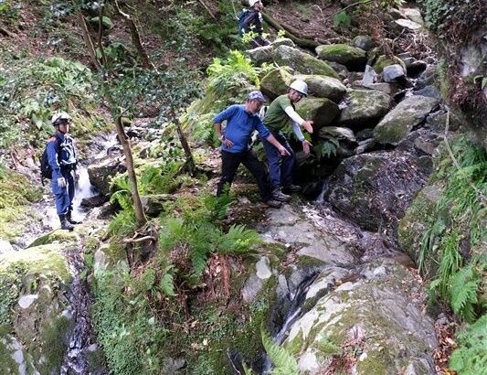 【悲報】名も知らぬ低き山より６メートル滑落 散歩中の弁護士死亡