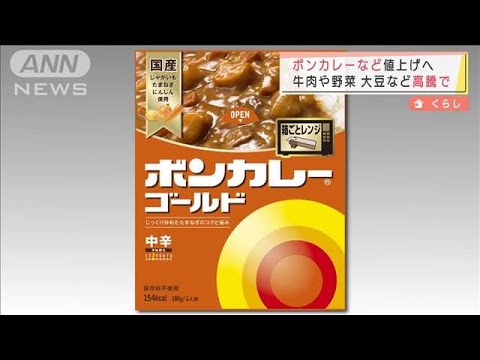 【注目】このインフレきついって‼ ボンカレーも値上げかよ・・・