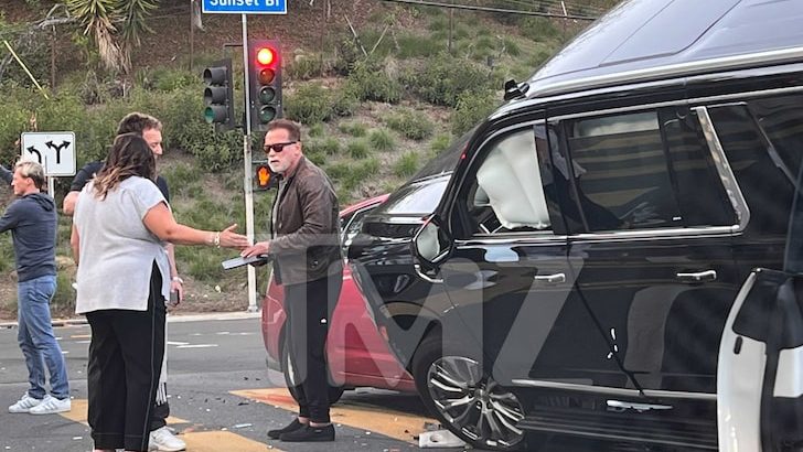 【写真あり】アーノルド・シュワルツェネッガー、赤信号無視して大事故　本人はけがなしも別の車運転女性が重傷