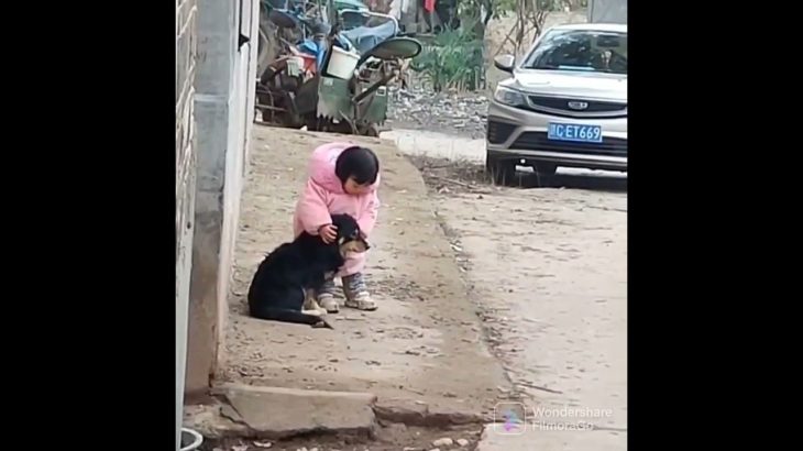 だいじょうぶだ〜！犬の耳をふさぎ、花火の音から守ってあげる少女