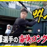 【朗報】佐藤輝明、ヤクルト村上を越える模様