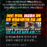 【YouTube】「韓国語が国連公式言語に採択、日本語は棄却」の偽報道で月売上337万円　　韓国法で処罰できず