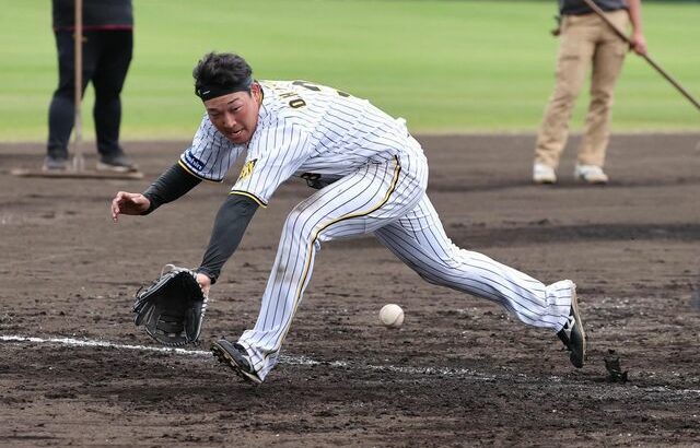 阪神、大山ら内野陣が早出特守　矢野監督もノッカーを務める