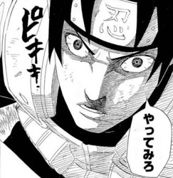 【NARUTO】サイってなんだかんだで最終的には割と好かれてたよね