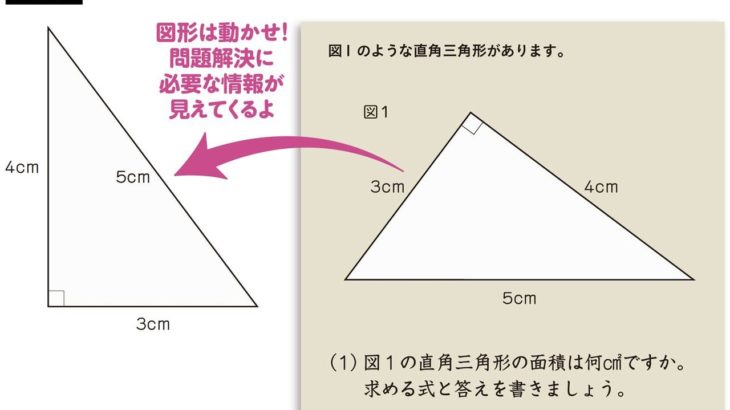 直角三角形の面積問題　小学6年生の正答率がわずか「55%」　教育界に衝撃