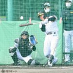 阪神６位豊田寛がランチ特打で柵越え「プロの人の球を見られたというのは大きかった」