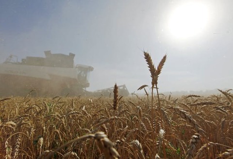 ウクライナ情勢、小麦や希少金属に波及も　ロシア依存で
