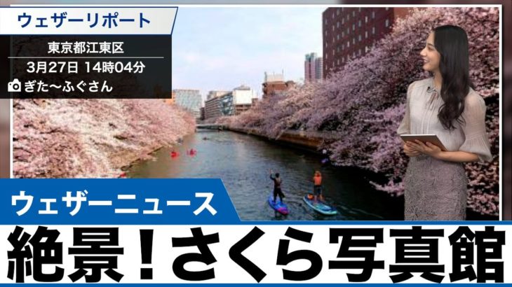 【何の日?】今日は何の日? “さくらの日”!!!!!