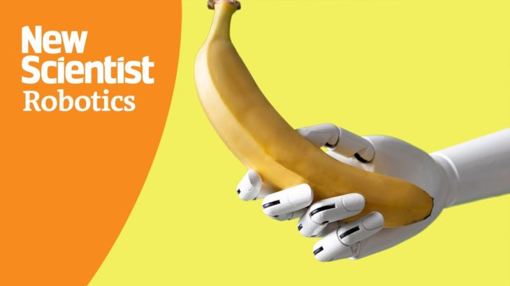 東京大学「ロボットにバナナの皮むきを覚えさせた」