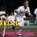 本日3月3日は原口文仁選手30歳の誕生日です。おめでとうございます。