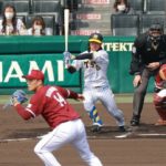 【阪神】近本が２安打１盗塁　「１球目から振りにいけたことがよかった」