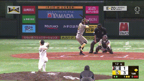 【阪神】佐藤輝明、ペイペイでまた打った！　右翼へオープン戦初本塁打は同点２ラン