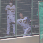【阪神】青柳がブルペン投球を再開　全球種、約３０球「投げられたことが良かった」