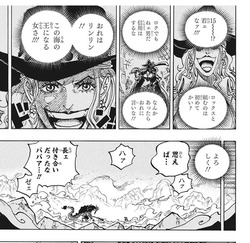 【ONE PIECE】若ビッグマムかわいい