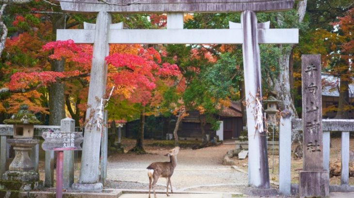 「奈良県」で一番イケてると思う街　3位:生駒市　2位:奈良市　1位は…