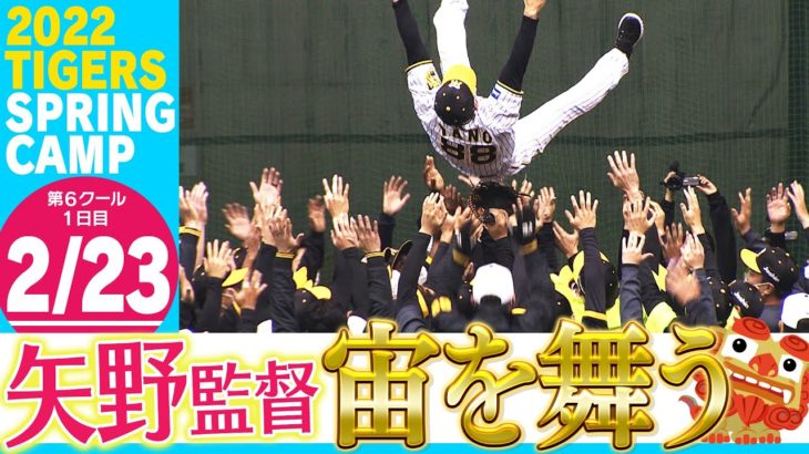 糸井「矢野サンやから胴上げ3回や！」←これ