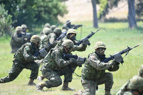 「日本版海兵隊」陸自水陸機動団が観閲式　南西諸島の防衛想定