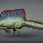 【悲報】最新のスピノサウルス、もはやオオサンショウウオｗｗｗｗｗｗｗｗｗｗｗ