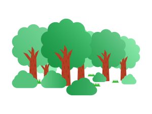 【マイクラ】雑に木を伐採した森や林は空中に草が沢山残るからファンタジーというよりは自分の適当さ加減が分かって少しゲンナリはする