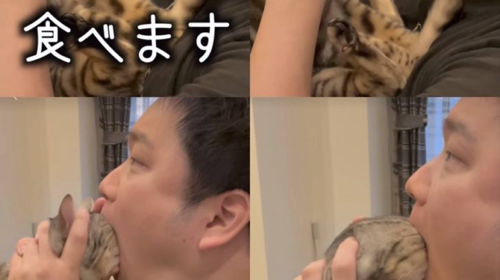 【画像】YouTuberさん、猫を食べてしまうｗｗｗｗｗｗｗｗｗｗｗｗｗｗｗｗｗｗｗｗｗｗ