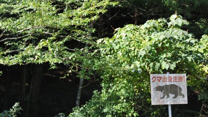 秋田の70歳、犬の散歩中にクマと揉み合いして川に転落